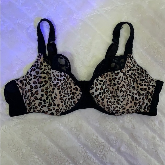 Cacique Other - Cacique 46C Cacique Other - Cacique 46C